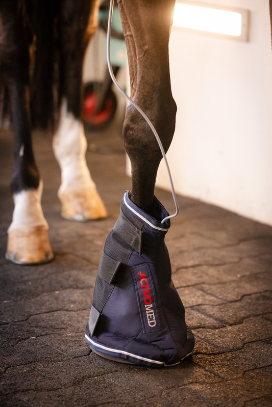 IMPULSELINE Hoof Boot